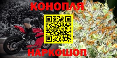 крисы Будённовск