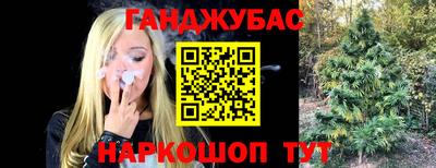крисы Будённовск