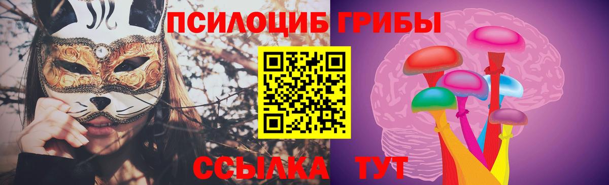 Магадан  Галлюциногенные грибы GOLDEN TEACHER  наркошоп  Вход с VPN 