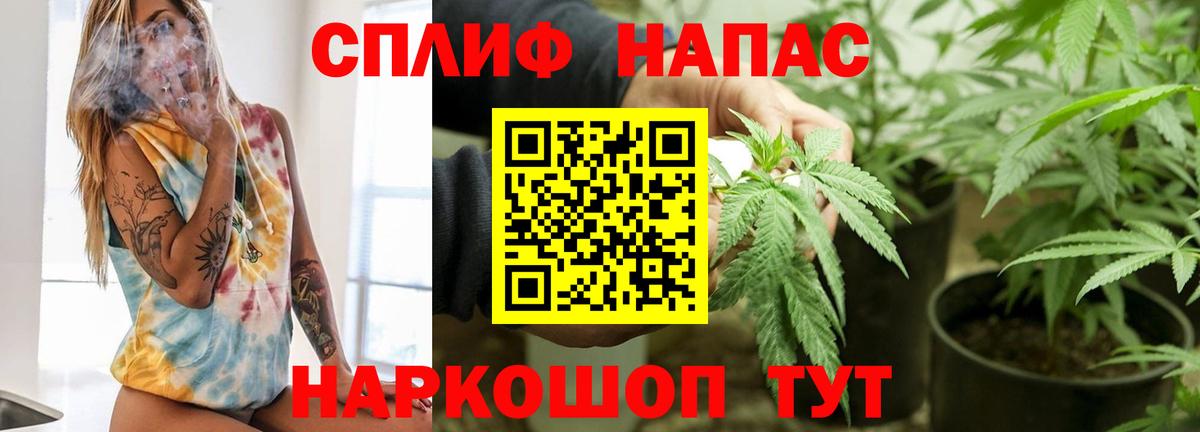 Конопля Amnesia Магадан